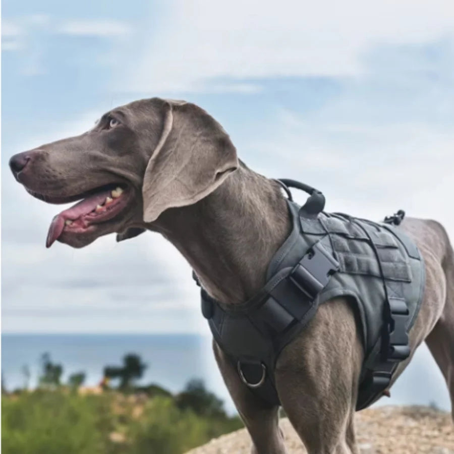 Tactical Dog Harness Military Training Padded Quick Release Vest Pet Training Dog Harness For Set Small Medium Large Dogs