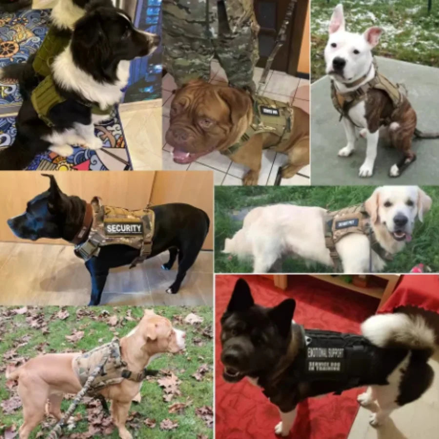 Tactical Dog Harness Military Training Padded Quick Release Vest Pet Training Dog Harness For Set Small Medium Large Dogs