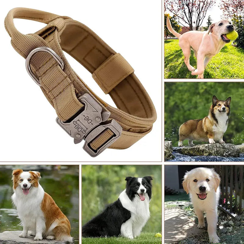 Outdoor Sports Style Tactical Dog Collar Usable Collar For Medium To Large Dogs With Traction Capability for Dog Training