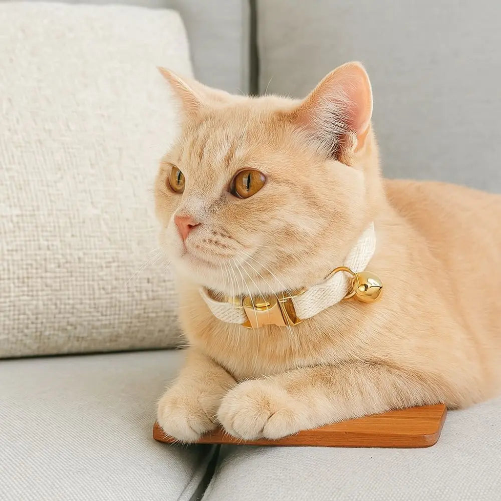Practical Adjustable Cat Collar with Bell Solid Color Metal Buckle Pet Dog Collar Personalized Cat Necklace Pet Show