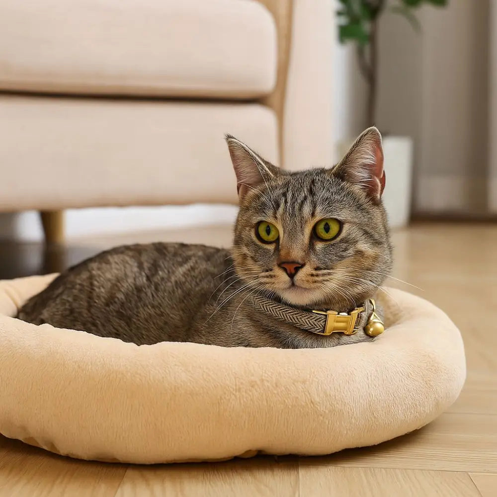 Practical Adjustable Cat Collar with Bell Solid Color Metal Buckle Pet Dog Collar Personalized Cat Necklace Pet Show