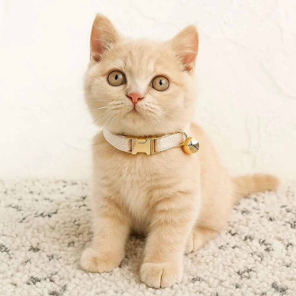 Practical Adjustable Cat Collar with Bell Solid Color Metal Buckle Pet Dog Collar Personalized Cat Necklace Pet Show